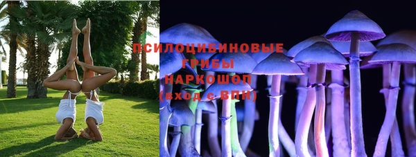 СК Алзамай